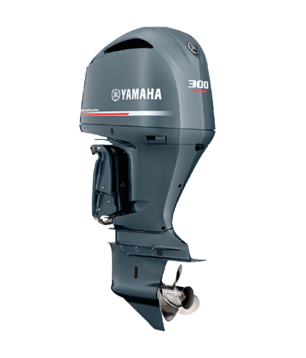 FUERA DE BORDA F300DET